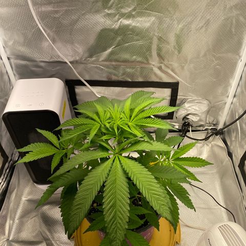 Bethany growlog timeline photo