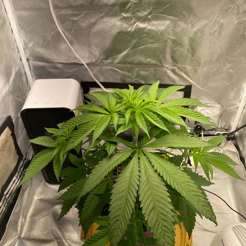 Bethany growlog timeline photo