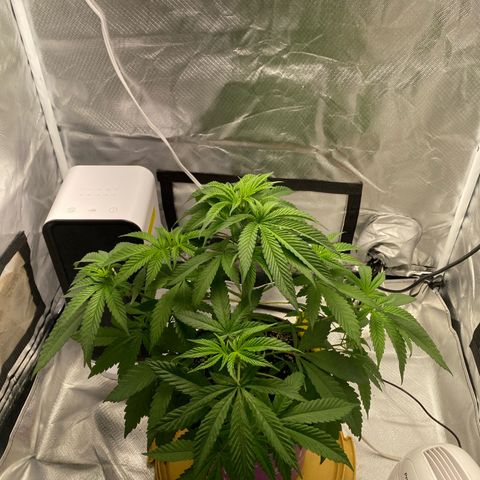 Bethany growlog timeline photo