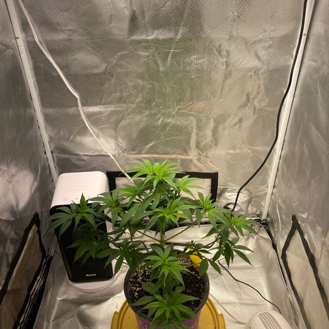 Bethany growlog timeline photo