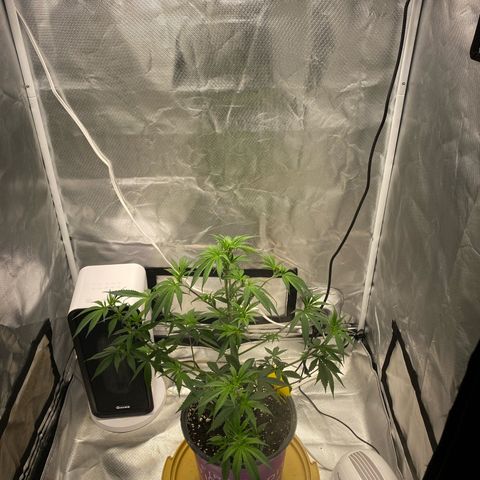 Bethany growlog timeline photo