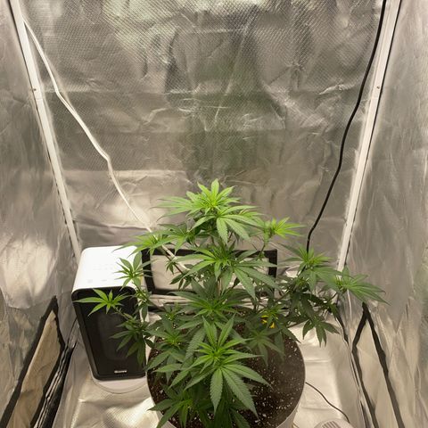 Bethany growlog timeline photo