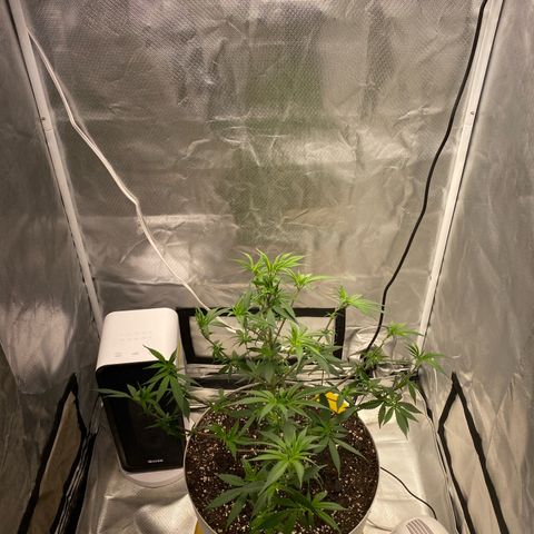 Bethany growlog timeline photo