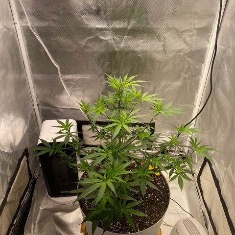 Bethany growlog timeline photo