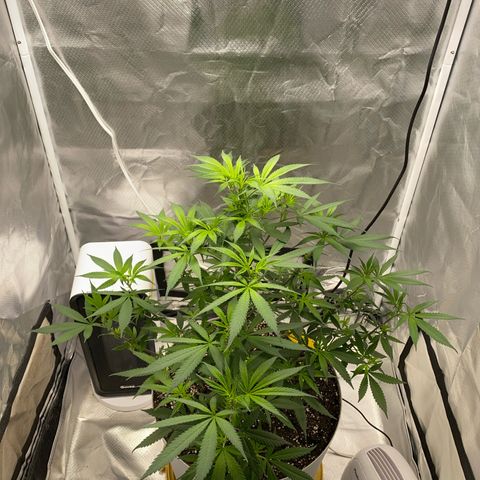 Bethany growlog timeline photo