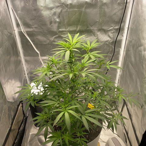 Bethany growlog timeline photo