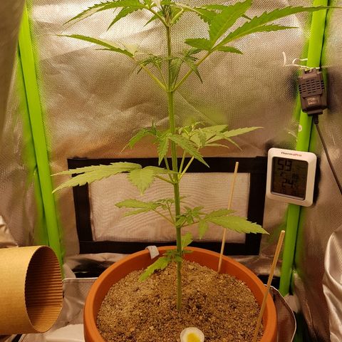 Mary1 growlog timeline photo