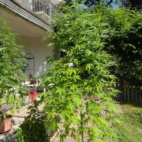 Marry growlog timeline photo