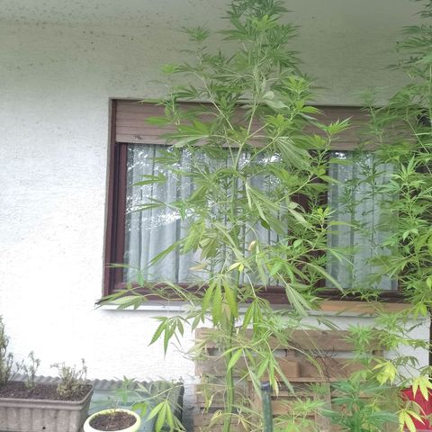 Marry growlog timeline photo