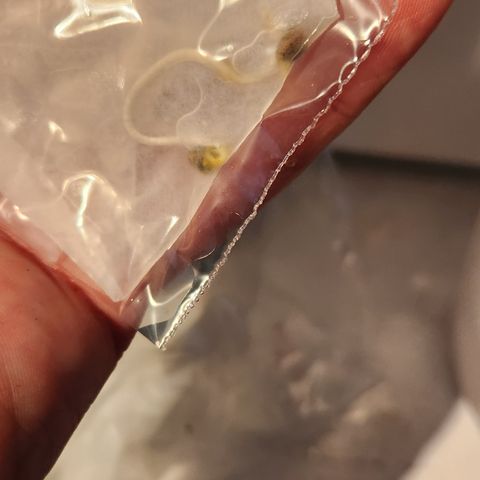 Drunken Bitch Slaps #1 growlog timeline photo
