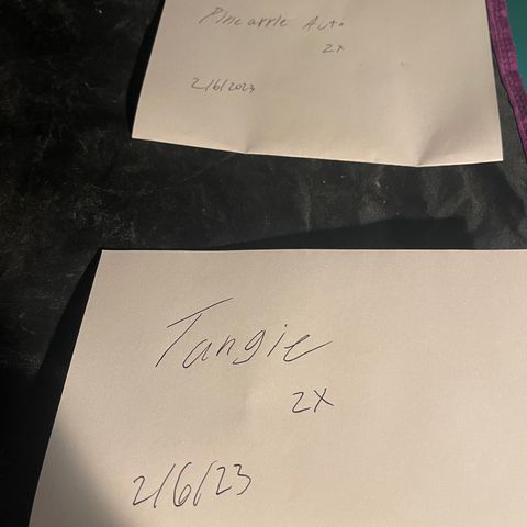 Tangie growlog timeline photo