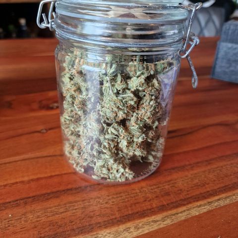 Gelato Auto  growlog photo: Blüten getrocknet 26,7gramm 