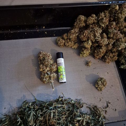 Purple Haze growlog timeline photo