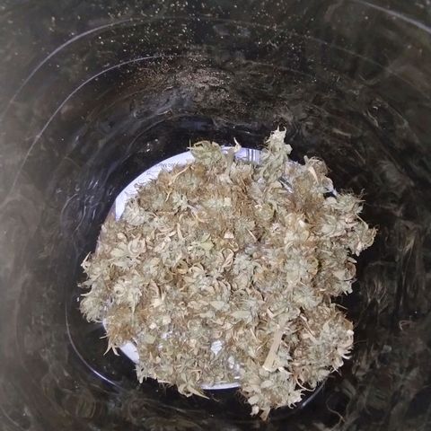 Gorila glue #4 growlog timeline photo