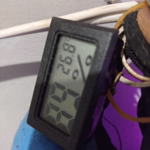 Gellato automática  growlog timeline photo