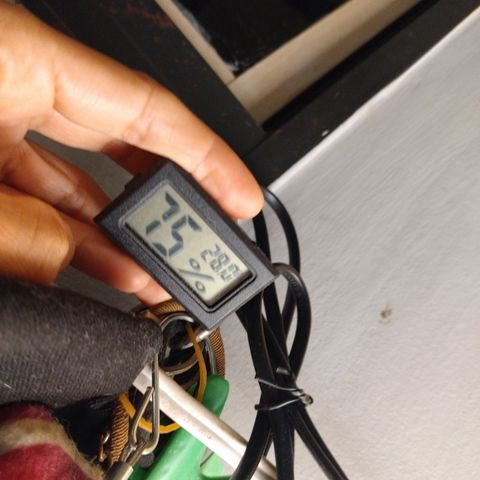 Gellato automática  growlog timeline photo