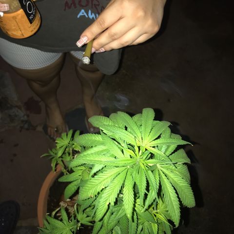 Mawi wawi  growlog timeline photo