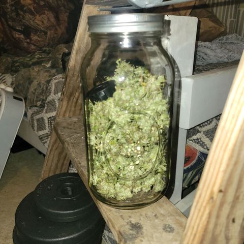 Afghan Hash growlog photo: Tried and in cure jars