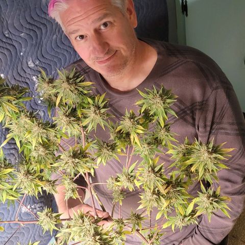 TriCross growlog timeline photo