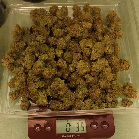 TriCross growlog timeline photo