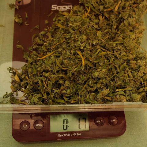 TriCross growlog timeline photo