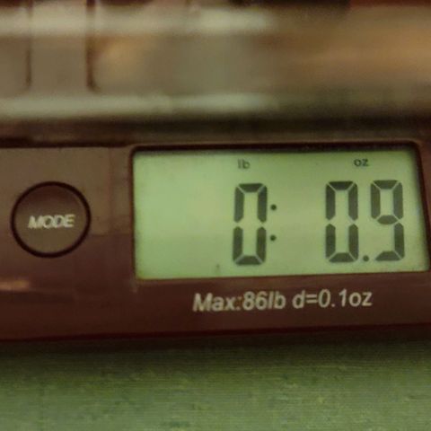 TriCross growlog timeline photo