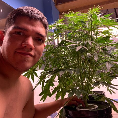 Hidro AK #1 growlog timeline photo