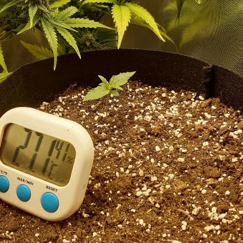Think Different "Männi" growlog timeline photo