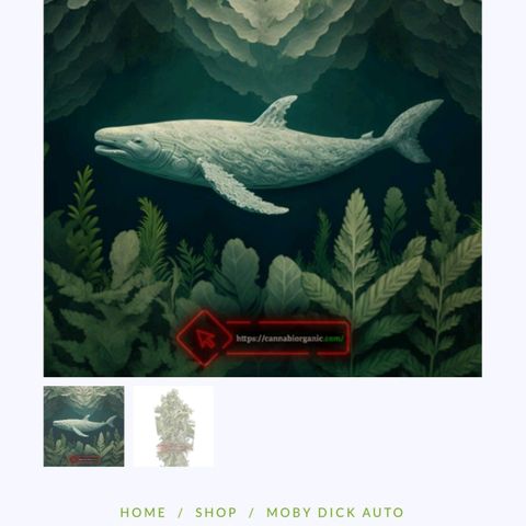 Moby Dick Auto growlog timeline photo