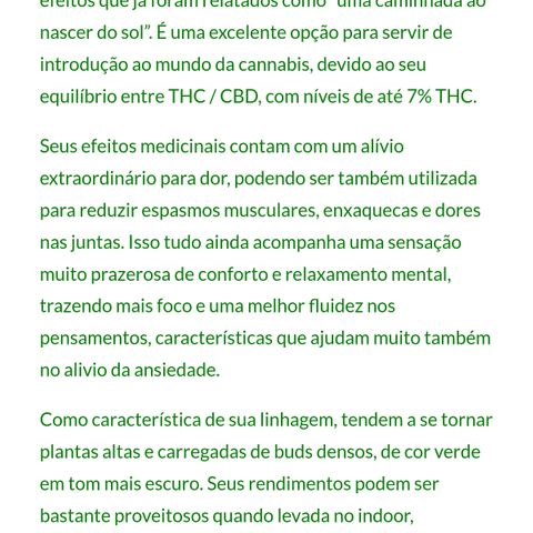 Harlequin CBD growlog photo: Levou 20 dias p germinar... Já tinha ate desistido dela kkk