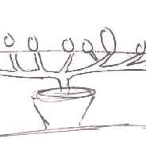 รอบ สอง growlog timeline photo