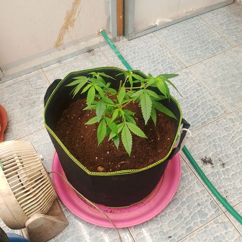 รอบ สอง growlog timeline photo