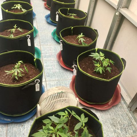 รอบ สอง growlog timeline photo