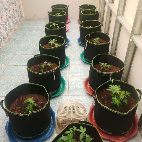 รอบ สอง growlog timeline photo