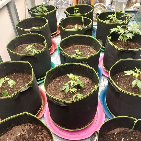 รอบ สอง growlog photo: start 