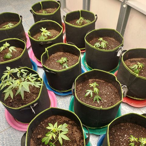 รอบ สอง growlog photo: start 