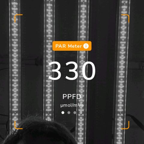รอบ สอง growlog photo: start 