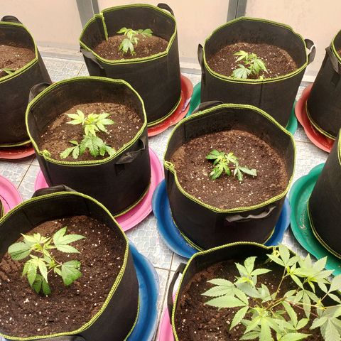 รอบ สอง growlog photo: start 