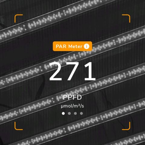 รอบ สอง growlog timeline photo