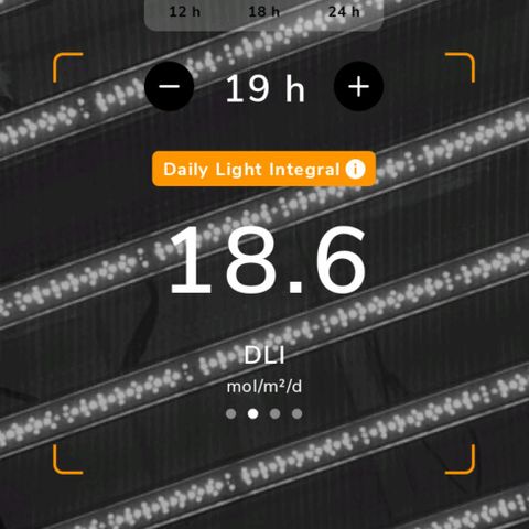 รอบ สอง growlog timeline photo
