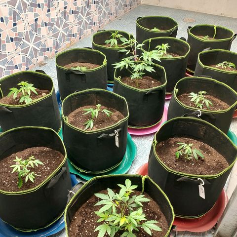 รอบ สอง growlog timeline photo