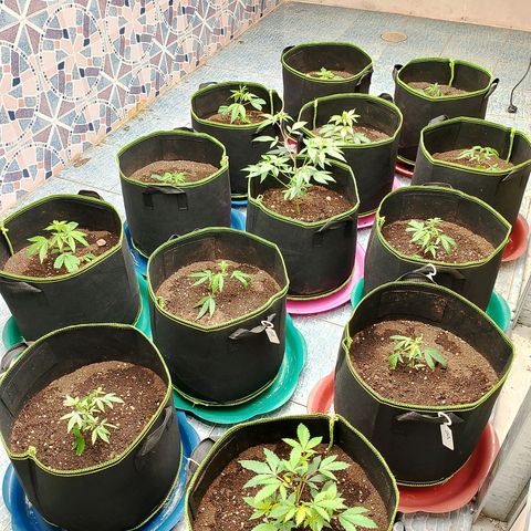 รอบ สอง growlog timeline photo