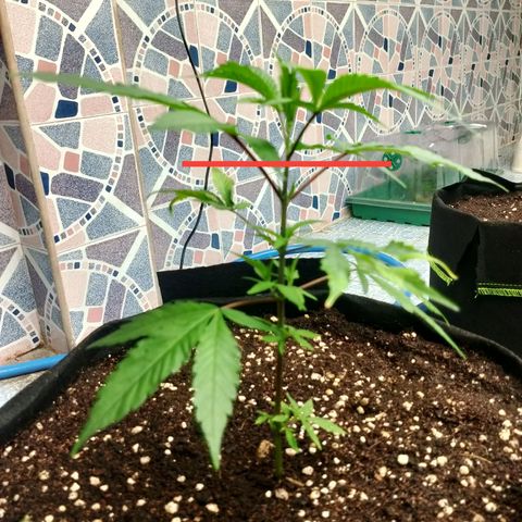 รอบ สอง growlog timeline photo