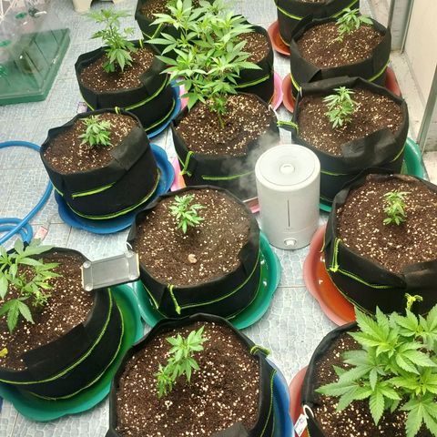 รอบ สอง growlog timeline photo