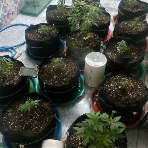 รอบ สอง growlog timeline photo