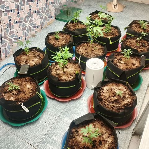 รอบ สอง growlog timeline photo