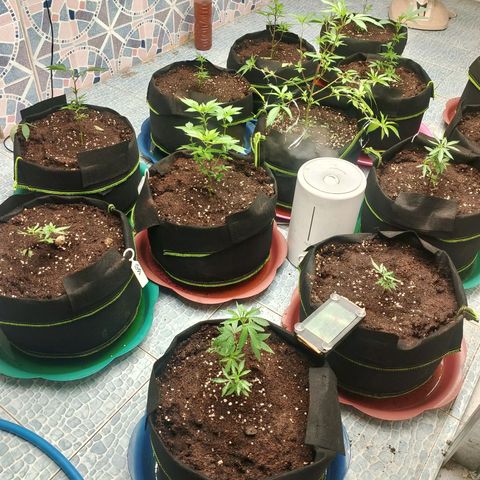 รอบ สอง growlog photo: ปรับไฟ