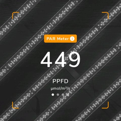 รอบ สอง growlog timeline photo