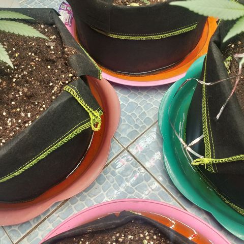 รอบ สอง growlog timeline photo