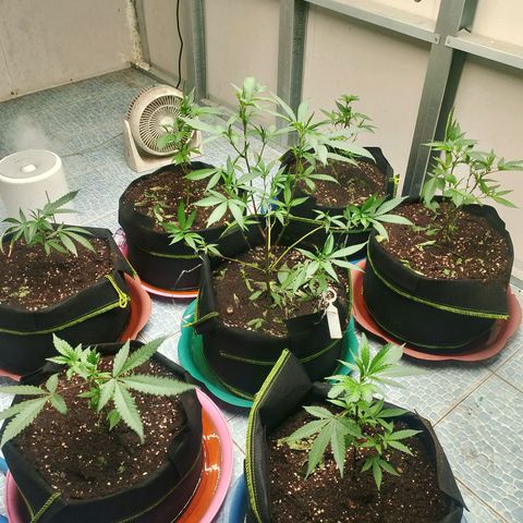 รอบ สอง growlog timeline photo